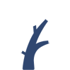 24/7 EMERGENCY SERVICES